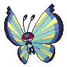 Shadow Vivillon (Savanna)
